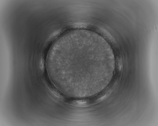 X0000111630692200908071411