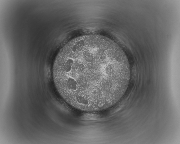 X0000111630699200908071411