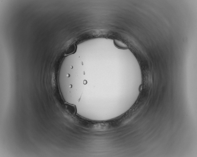 X0000111630700200908071411