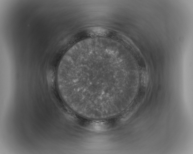 X0000111630701200908071411