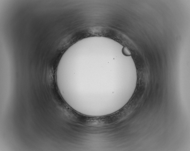 X0000111630702200908071411