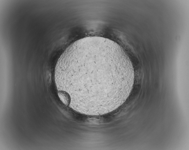 X0000111630703200908071411