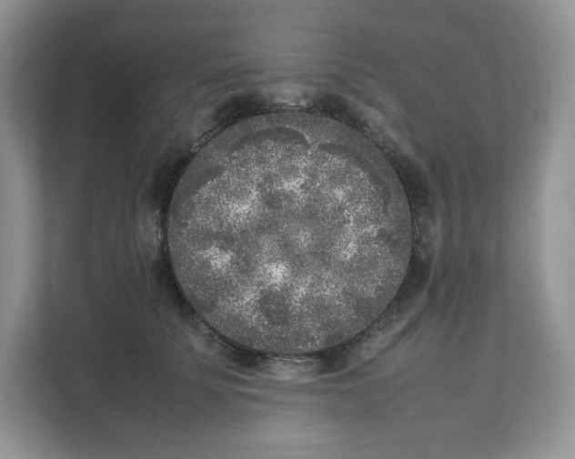 X0000111630707200908071411