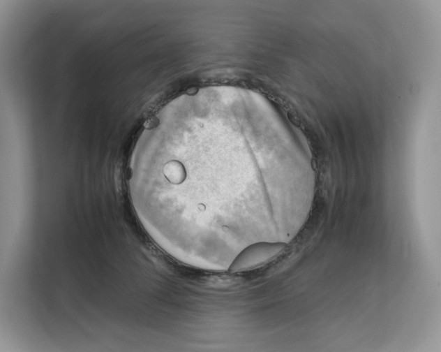 X0000111630708200908071411