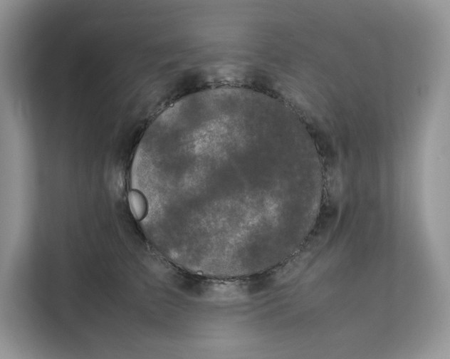 X0000111630709200908071411