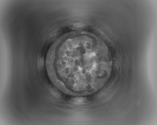 X0000111630711200908071411