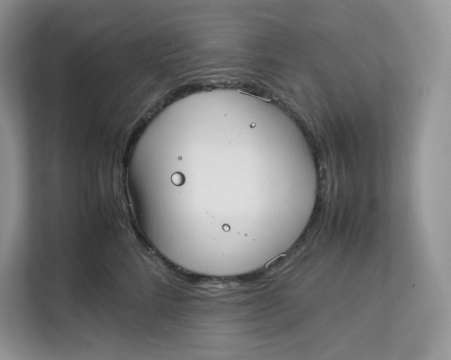 X0000111630712200908071411