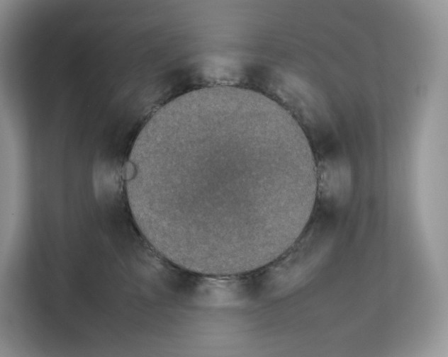 X0000111630713200908071411