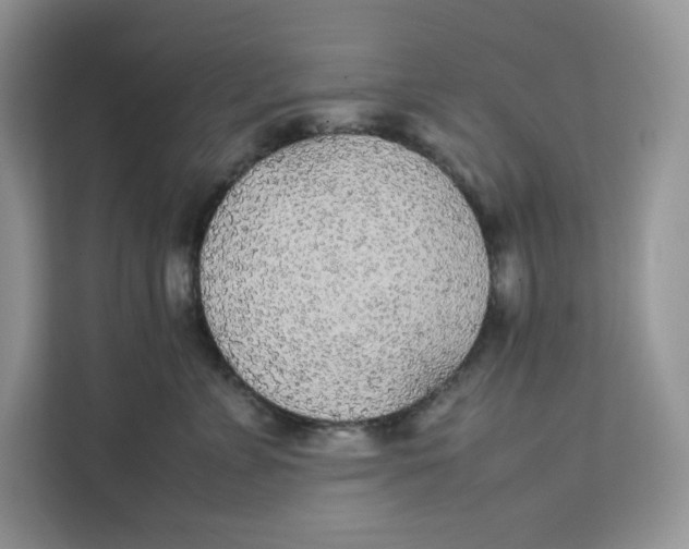 X0000111630715200908071411