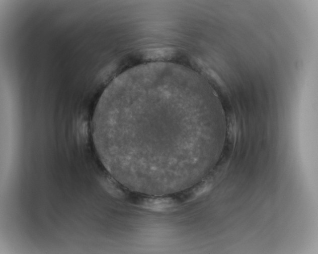 X0000111630716200908071411