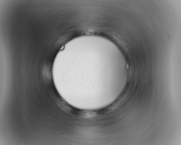 X0000111630719200908071411