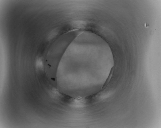 X0000111630720200908071411