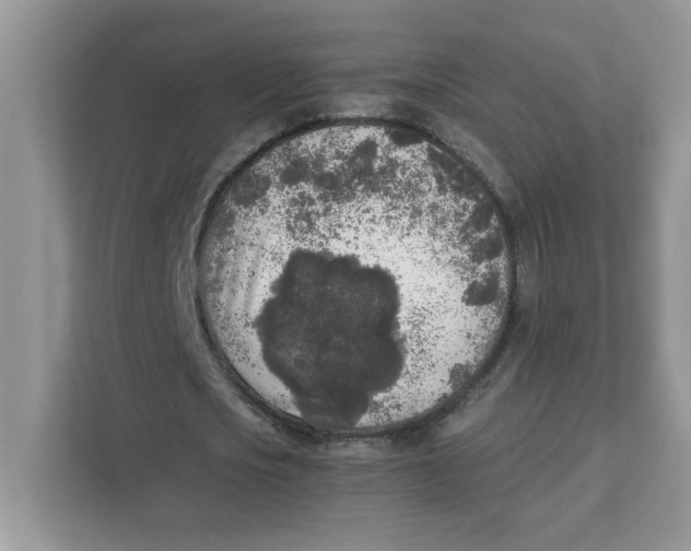 X0000111630721200908071410