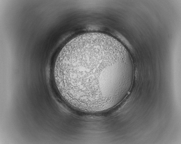 X0000111630722200908071410