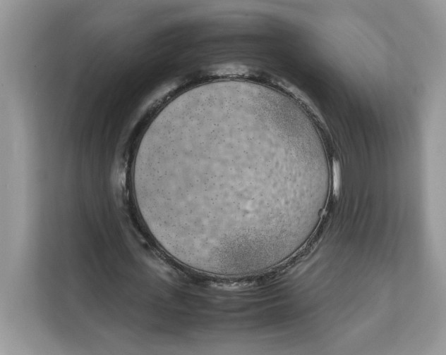 X0000111630723200908071410