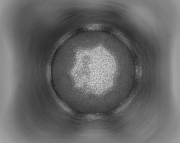 X0000111630725200908071411