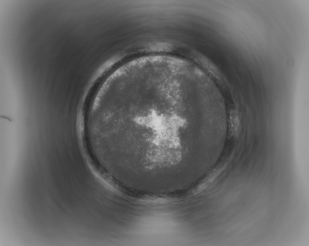 X0000111630726200908071411