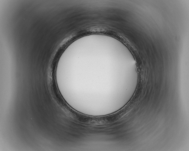 X0000111630727200908071411