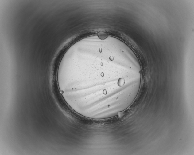 X0000111630728200908071411