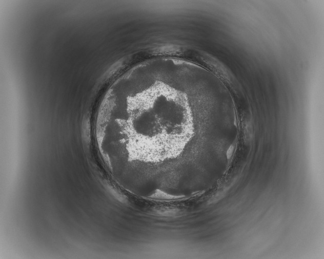 X0000111630729200908071411