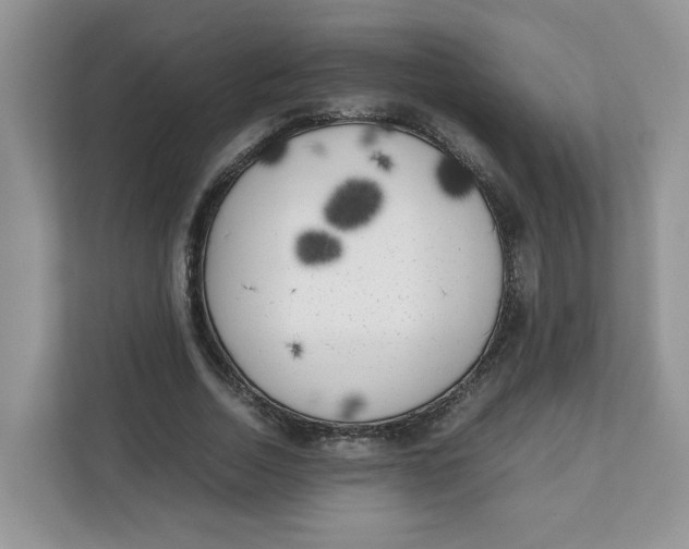 X0000111630730200908071411