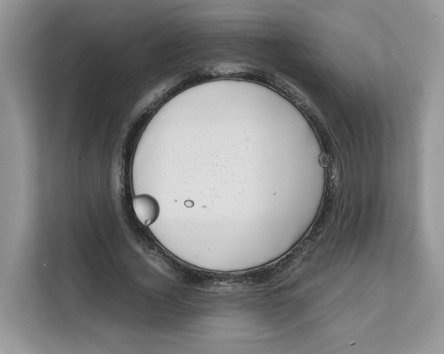 X0000111630732200908071411