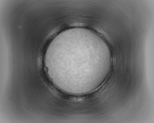 X0000111630735200908071411