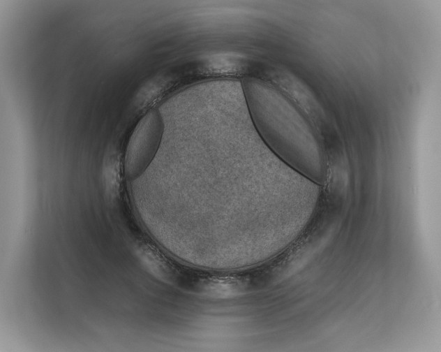 X0000111630736200908071411