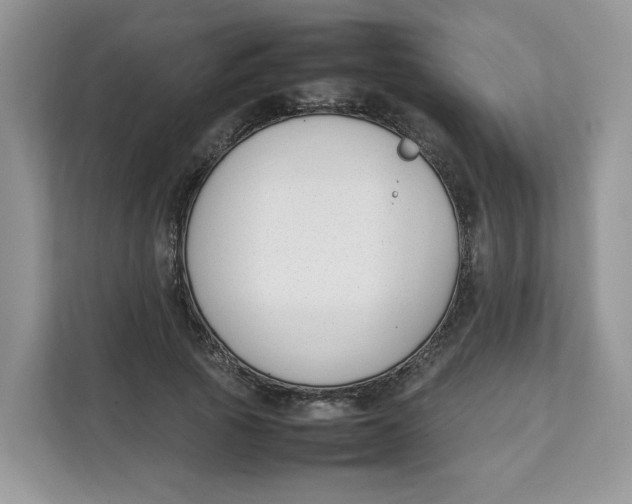 X0000111630737200908071411