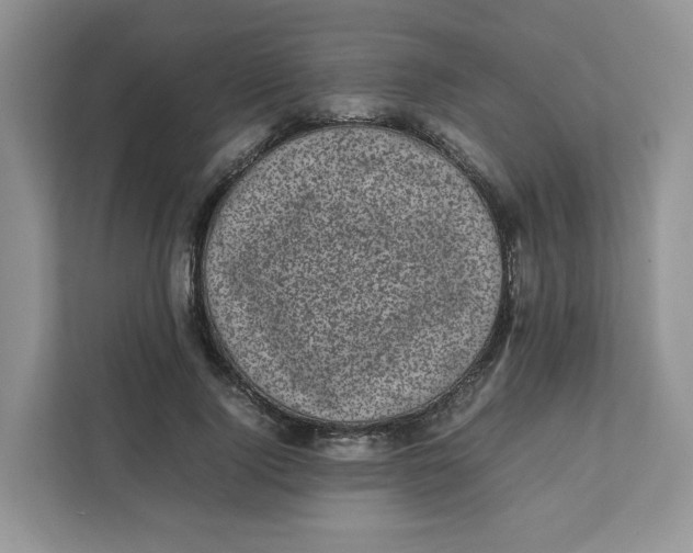 X0000111630740200908071411