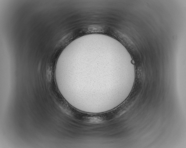 X0000111630741200908071411