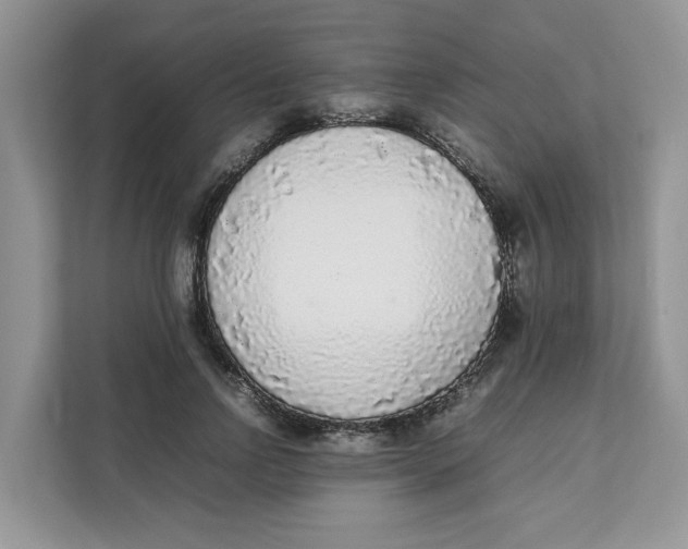 X0000111630742200908071411