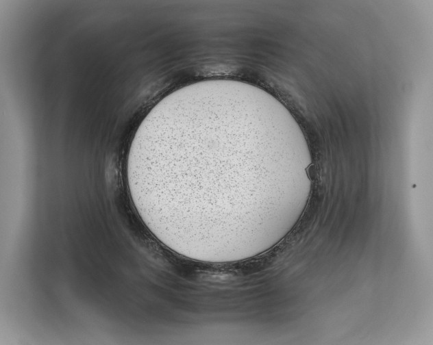 X0000111630743200908071411