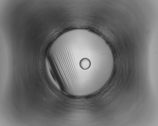 X0000111630744200908071411