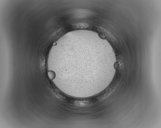 X0000111630745200908071411