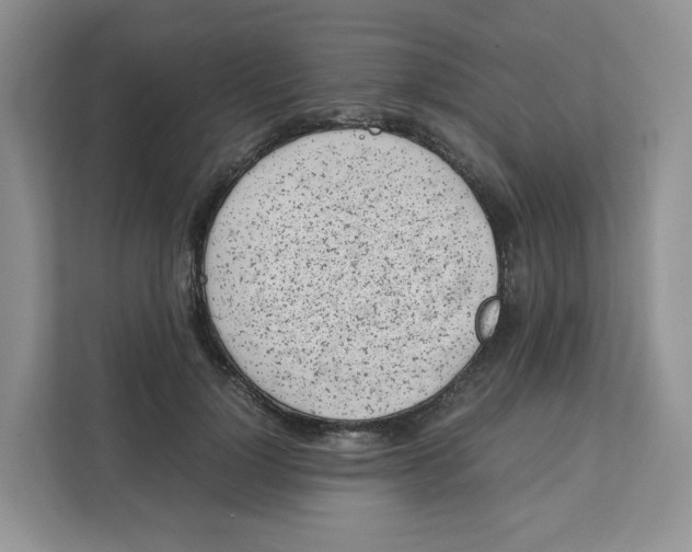 X0000111630748200908071411