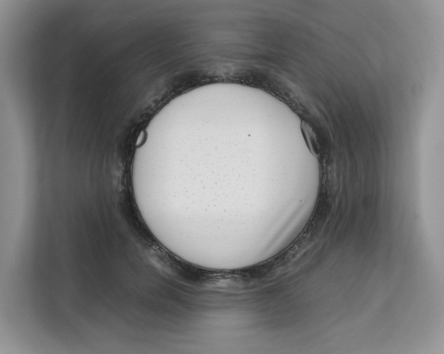 X0000111630750200908071411