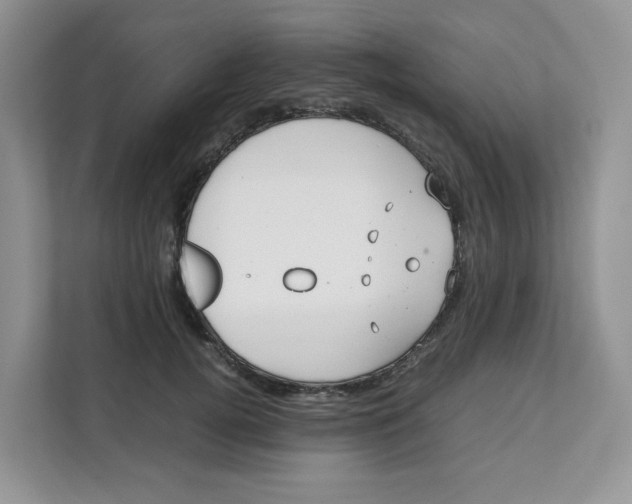 X0000111630752200908071411