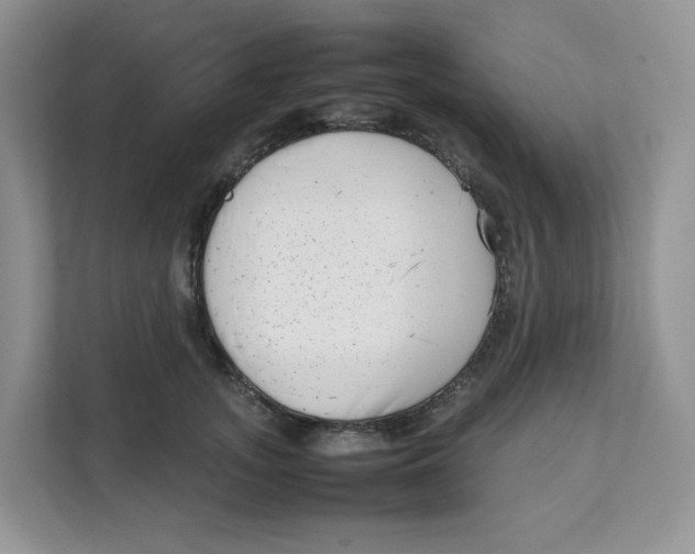 X0000111630755200908071411