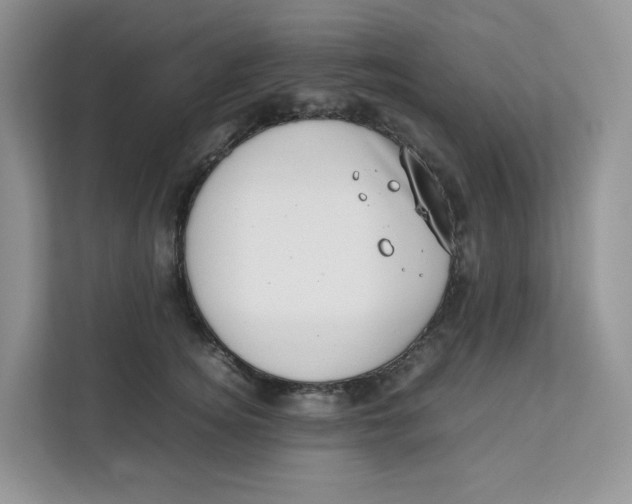 X0000111630756200908071411