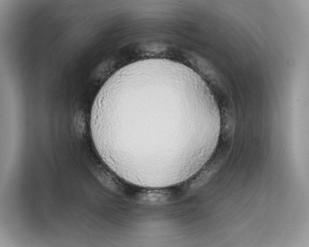 X0000111630758200908071411