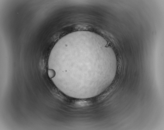 X0000111630759200908071411