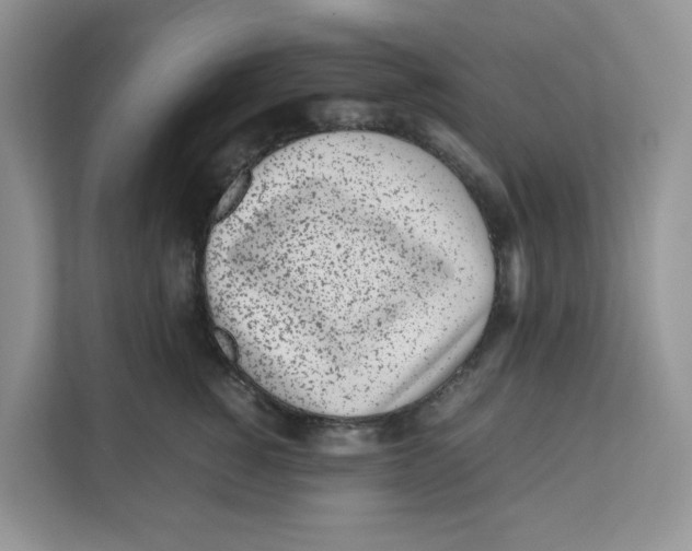 X0000111630760200908071411