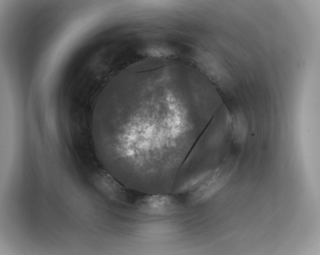 X0000111630762200908071411