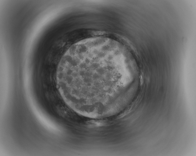 X0000111630763200908071411