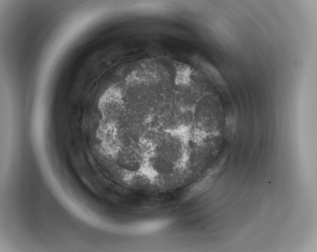 X0000111630765200908071411