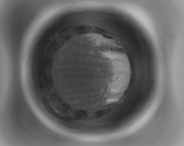 X0000111630766200908071411