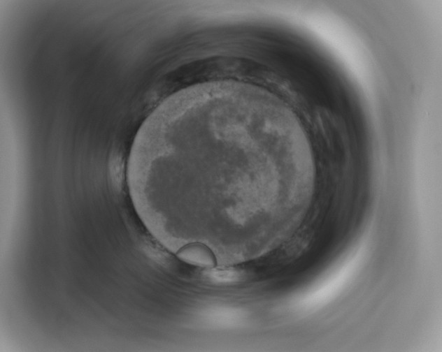 X0000111630767200908071411