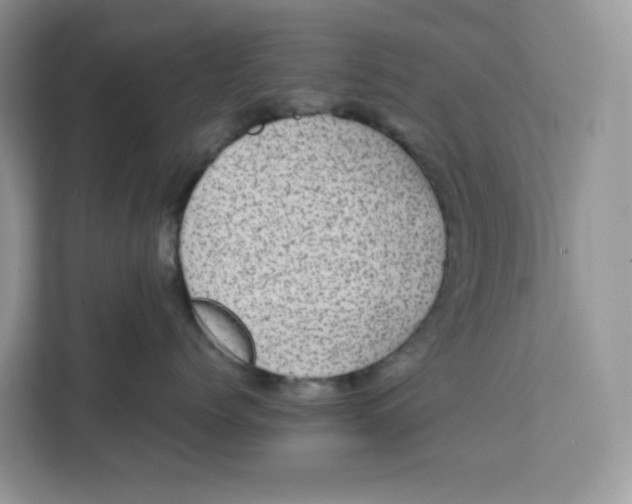 X0000111630768200908071411