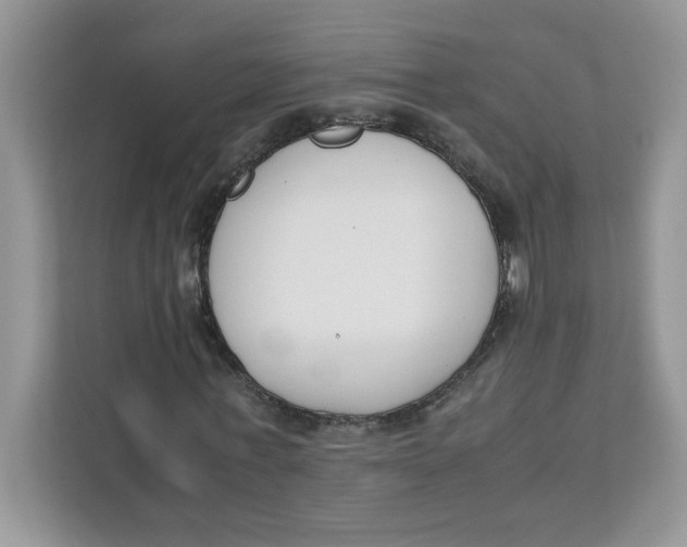 X0000111630771200908071410